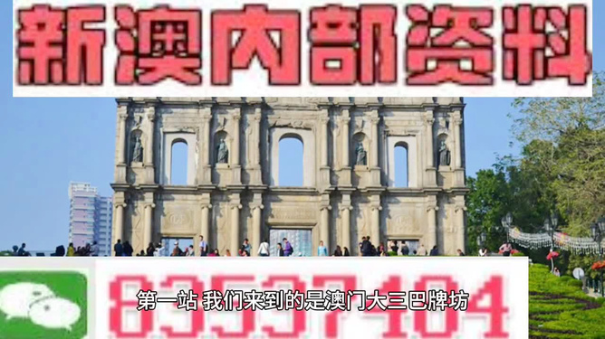 澳门正版资料全年免费公开精准资料一,精选资料解析大全