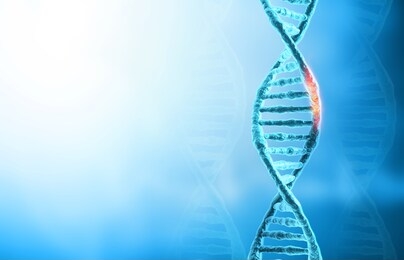 2025年新奥正版资料免费大全,精选资料解析大全