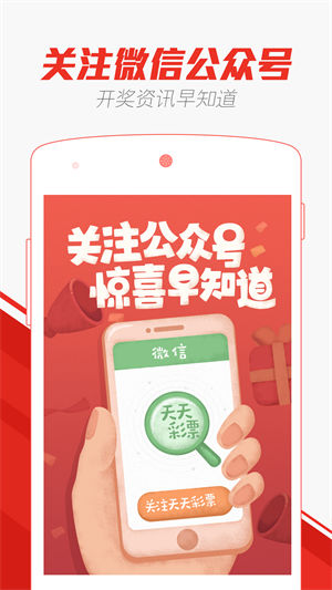 2004新澳门天天开好彩大全一,精选资料解析大全